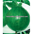 Hot Sale Chinese Vegetable Seeds-All Kinds Pumpkin Seeds For Growing